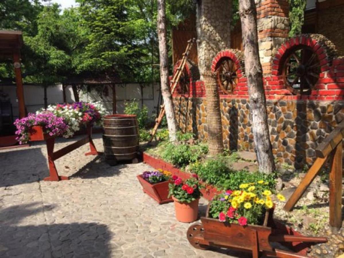 Hotel Casa Romaneasca Otopeni Bagian luar foto